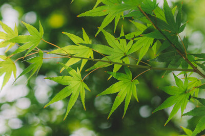 在職研究生優(yōu)勢 在職研究生優(yōu)勢