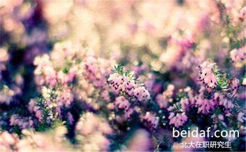 北京大學在職研究生復試難嗎