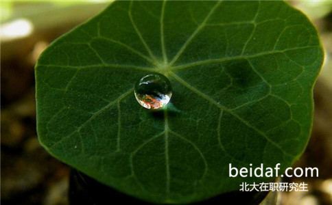 北京大學在職研究生和全日制研究生有哪些區別