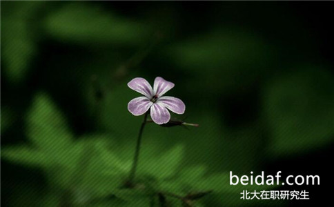 2017年北京大學(xué)在職研究生熱門(mén)招生專業(yè)有哪些